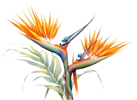 bird of paradise icon